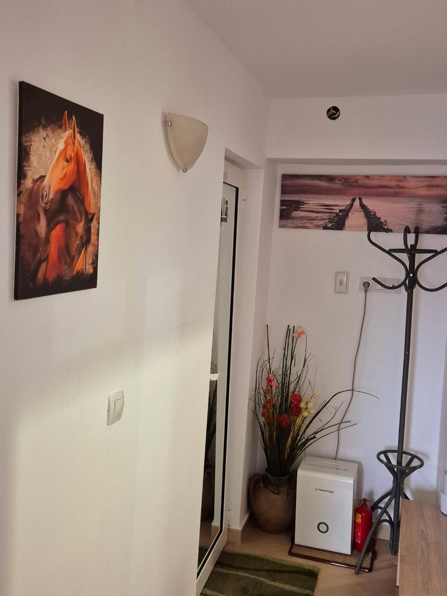 Apartment Shesti Uchastak غابروفو المظهر الخارجي الصورة