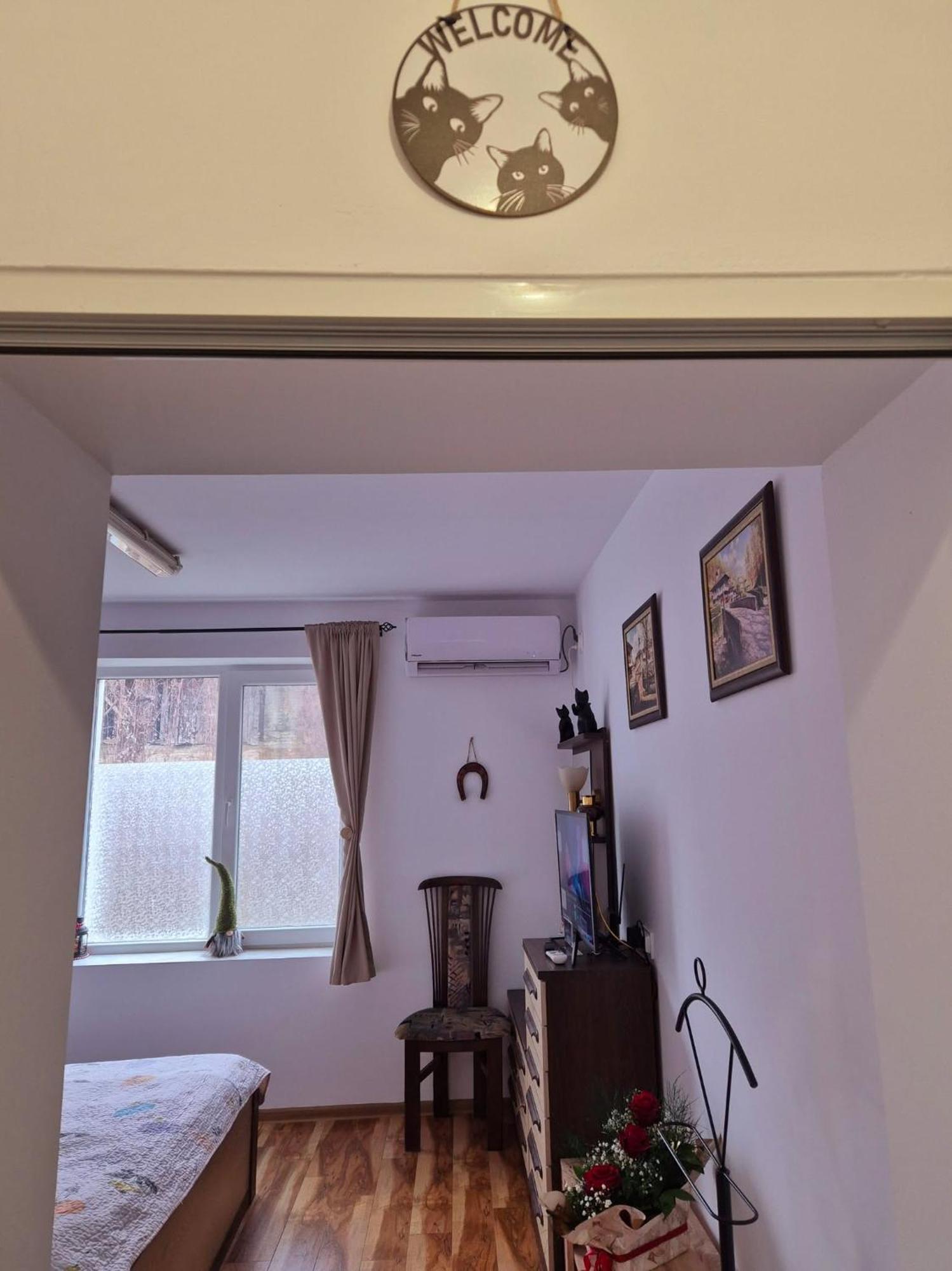 Apartment Shesti Uchastak غابروفو المظهر الخارجي الصورة